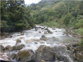 Image ofLower Saut Mathurine River Hydropower Project Site